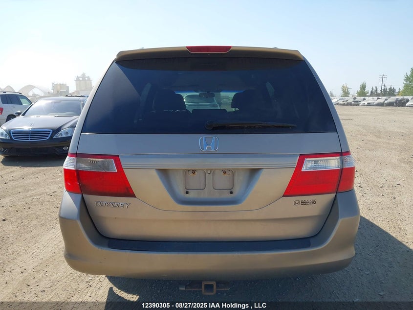 2007 Honda Odyssey Ex VIN: 5FNRL38447B506336 Lot: 12390305