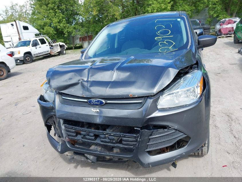 2016 Ford Escape Se VIN: 1FMCU0G73GUB09832 Lot: 12390317