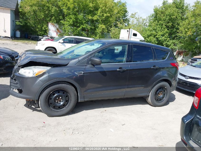 2016 Ford Escape Se VIN: 1FMCU0G73GUB09832 Lot: 12390317