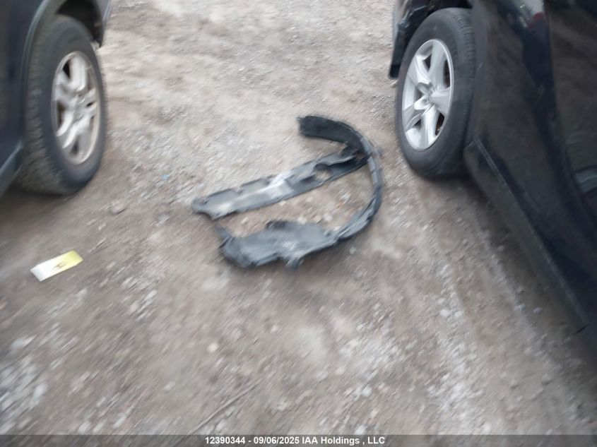 2004 Honda Cr-V Ex VIN: JHLRD78884C811146 Lot: 12390344