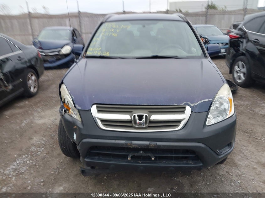 2004 Honda Cr-V Ex VIN: JHLRD78884C811146 Lot: 12390344