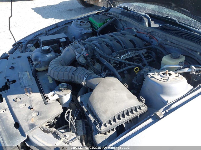 2006 Ford Mustang Gt VIN: 1ZVFT82H165241593 Lot: 12390423