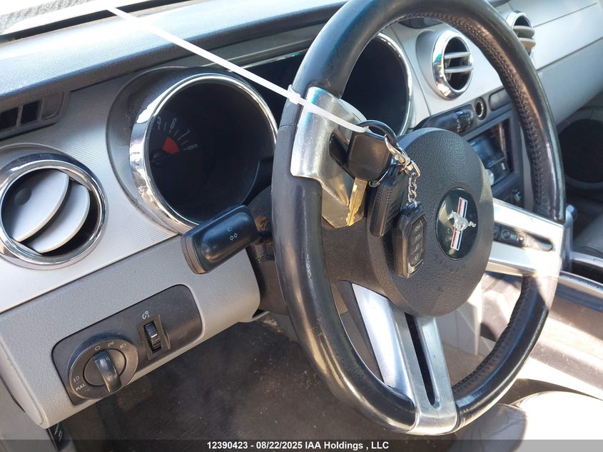 2006 Ford Mustang Gt VIN: 1ZVFT82H165241593 Lot: 12390423