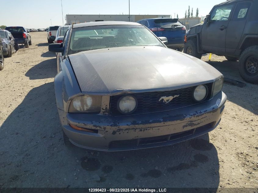 2006 Ford Mustang Gt VIN: 1ZVFT82H165241593 Lot: 12390423