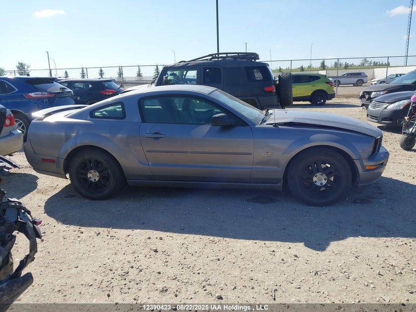 2006 Ford Mustang Gt VIN: 1ZVFT82H165241593 Lot: 12390423