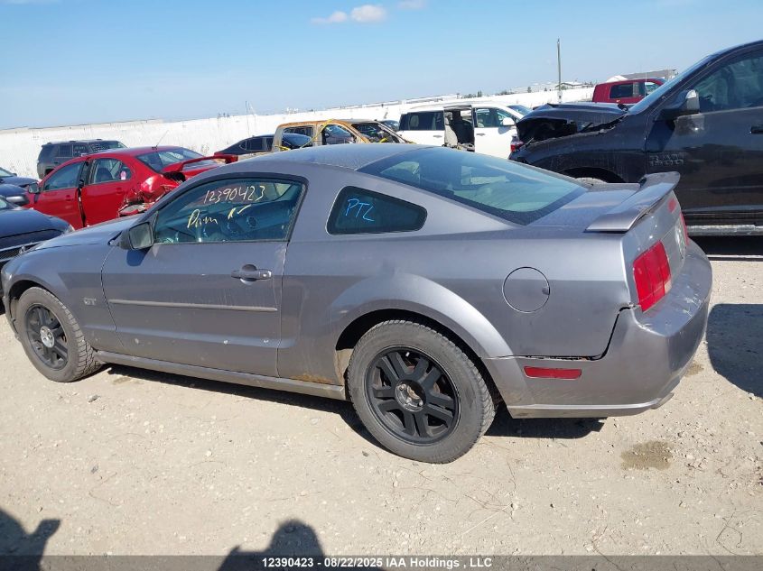 2006 Ford Mustang Gt VIN: 1ZVFT82H165241593 Lot: 12390423