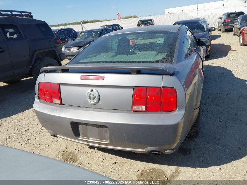 2006 Ford Mustang Gt VIN: 1ZVFT82H165241593 Lot: 12390423