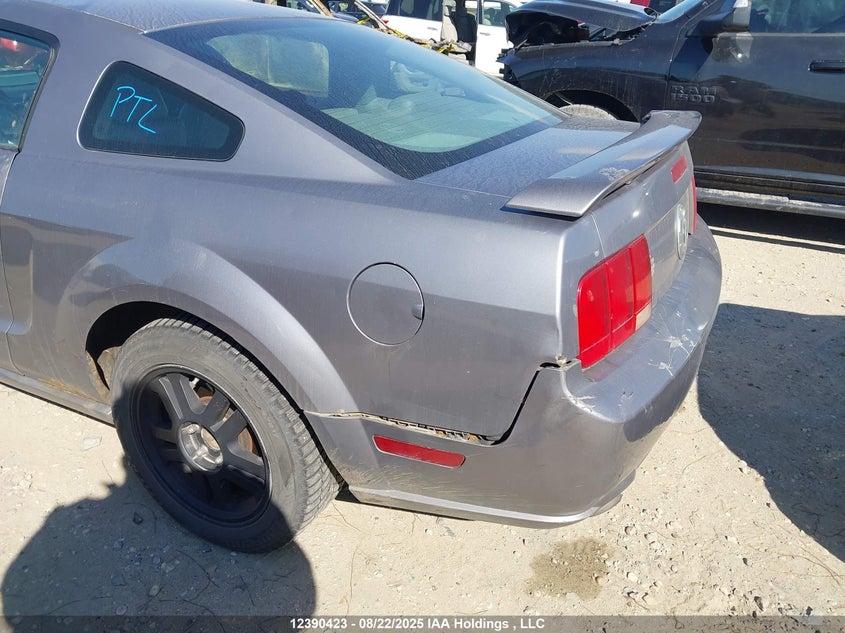 2006 Ford Mustang Gt VIN: 1ZVFT82H165241593 Lot: 12390423