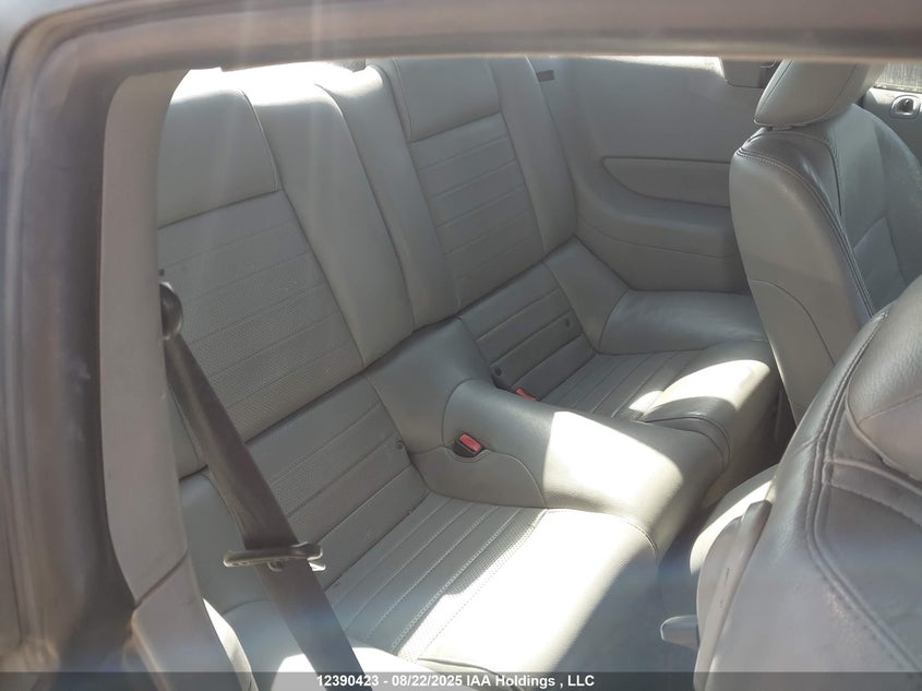 2006 Ford Mustang Gt VIN: 1ZVFT82H165241593 Lot: 12390423