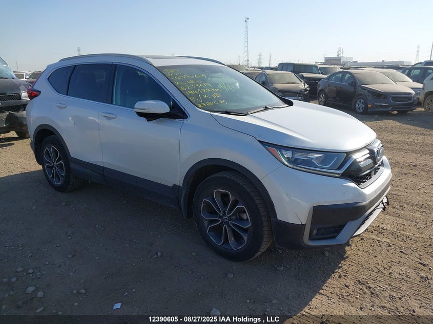 2HKRW2H85LH233519 2020 Honda Cr-V Ex-L auction photo 1