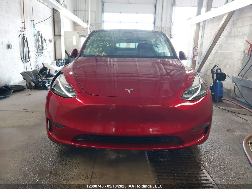 2024 Tesla Model Y VIN: 7SAYGDEE6RF204801 Lot: 12390745