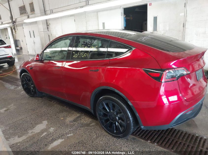 2024 Tesla Model Y VIN: 7SAYGDEE6RF204801 Lot: 12390745