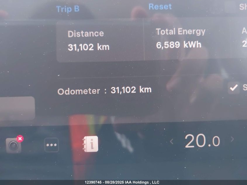 2024 Tesla Model Y VIN: 7SAYGDEE6RF204801 Lot: 12390745