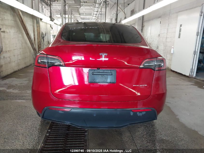 2024 Tesla Model Y VIN: 7SAYGDEE6RF204801 Lot: 12390745