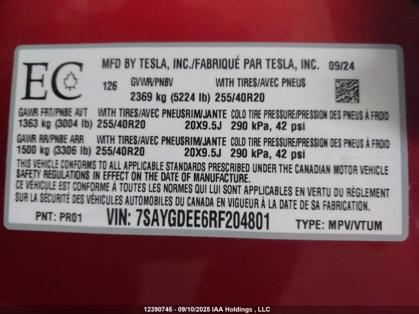 2024 Tesla Model Y VIN: 7SAYGDEE6RF204801 Lot: 12390745