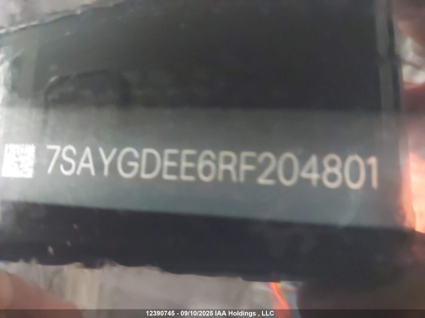 2024 Tesla Model Y VIN: 7SAYGDEE6RF204801 Lot: 12390745