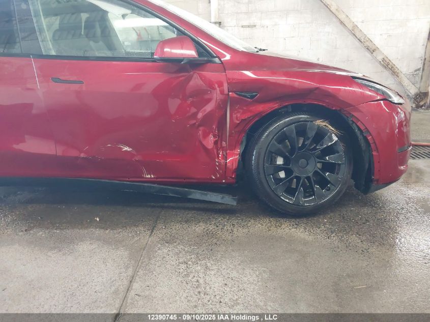 2024 Tesla Model Y VIN: 7SAYGDEE6RF204801 Lot: 12390745