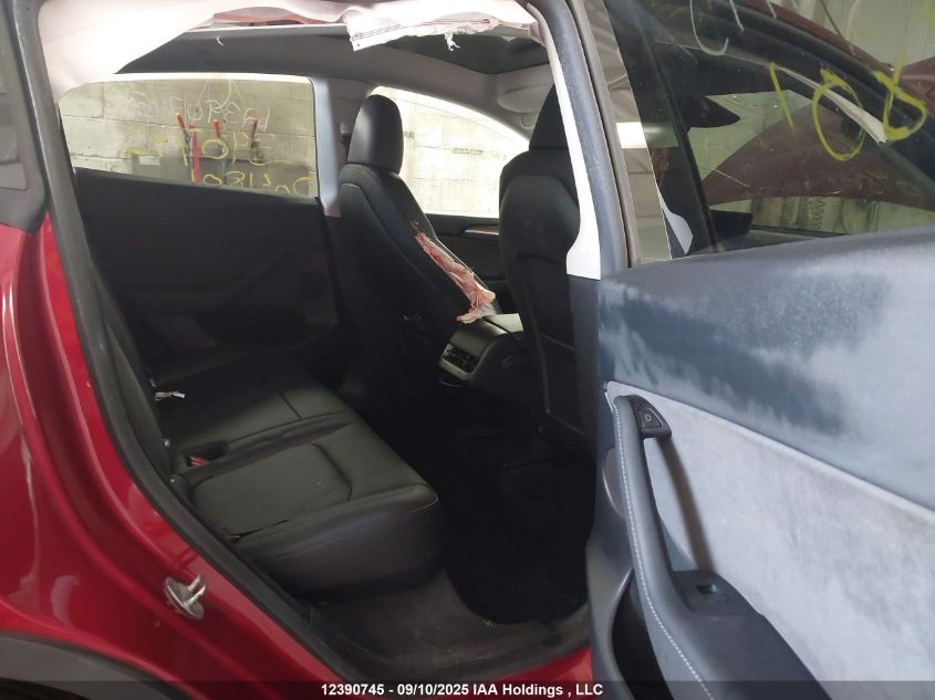 2024 Tesla Model Y VIN: 7SAYGDEE6RF204801 Lot: 12390745