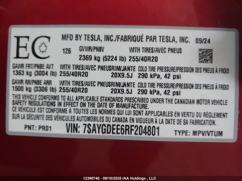 2024 Tesla Model Y VIN: 7SAYGDEE6RF204801 Lot: 12390745