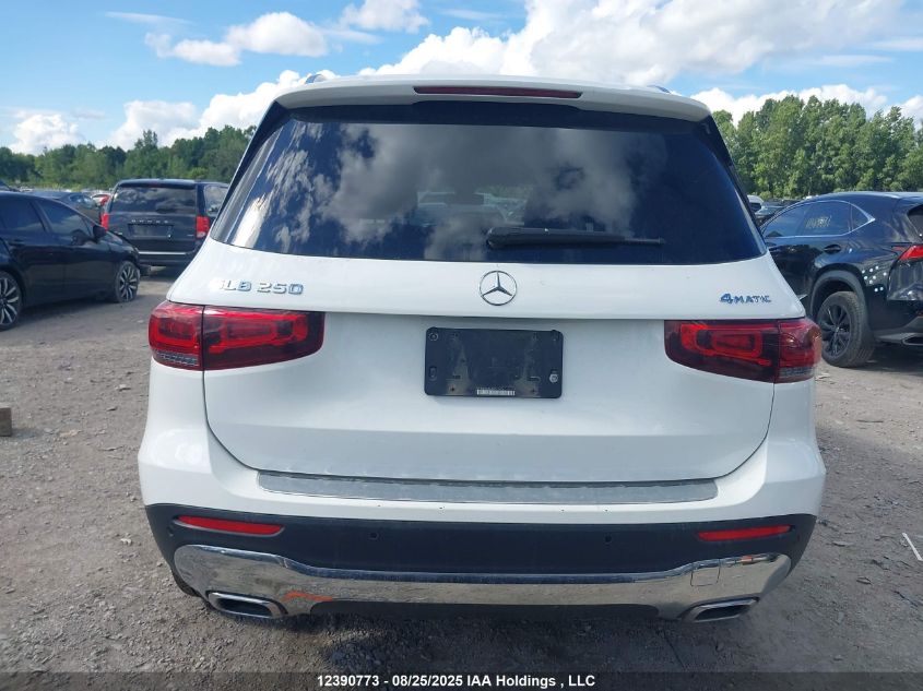 2023 Mercedes-Benz Glb 250 4Matic VIN: W1N4M4HB6PW317476 Lot: 12390773