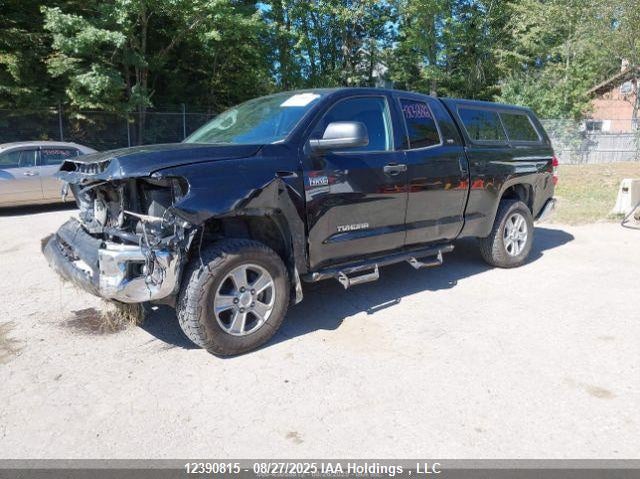 5TFUY5F12LX919632 2020 TOYOTA TUNDRA photo no. 3