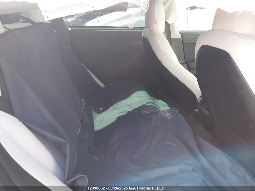 2022 Tesla Model 3 Rwd/Standard Range VIN: 5YJ3E1EA2NF154983 Lot: 12390862