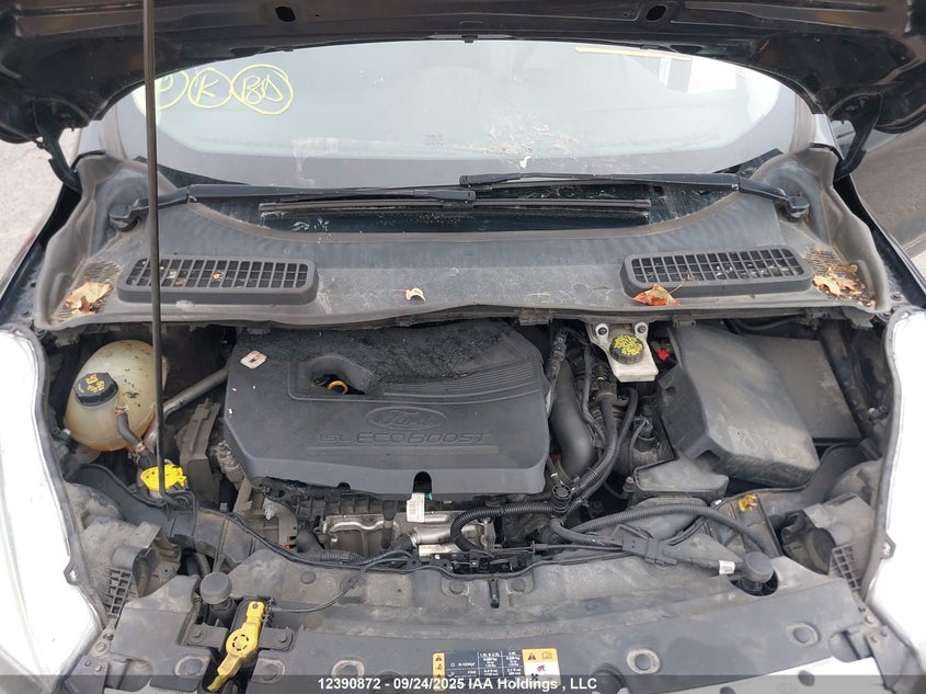 1FMCU0GD4HUD13921 2017 FORD ESCAPE photo no. 10