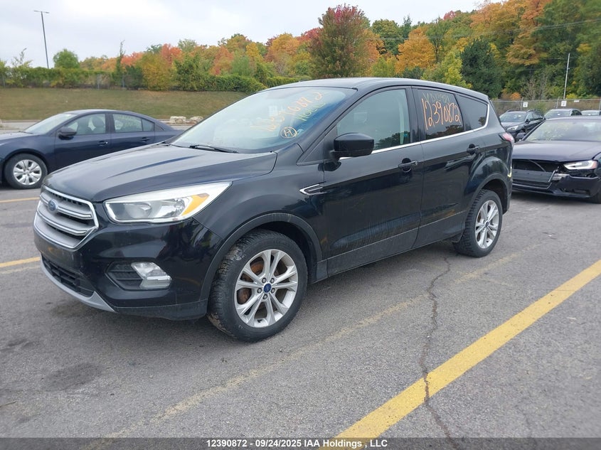 1FMCU0GD4HUD13921 2017 FORD ESCAPE photo no. 2
