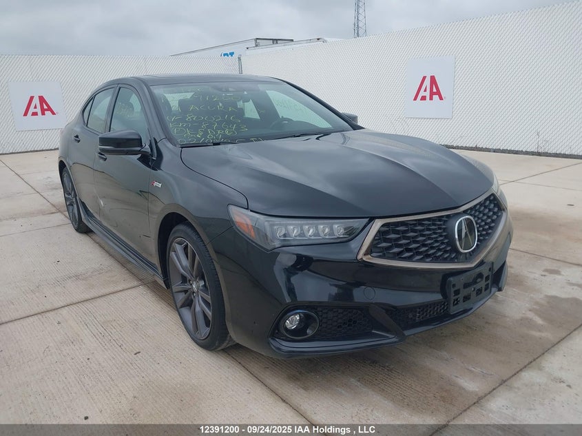 19UUB1F66KA800216 2019 Acura Tlx Tech A-Spec auction photo 1