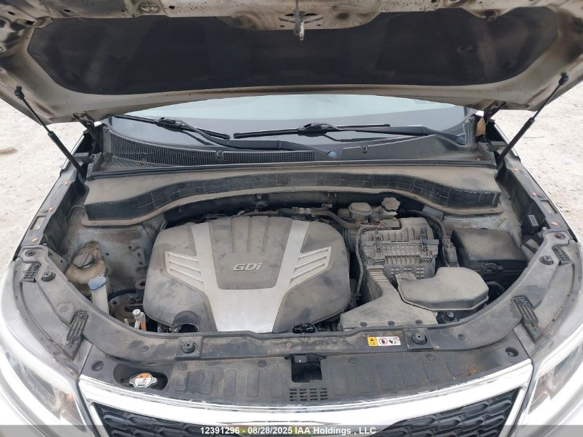 2014 Kia Sorento Lx V6 VIN: 5XYKTDA70EG485809 Lot: 12391296