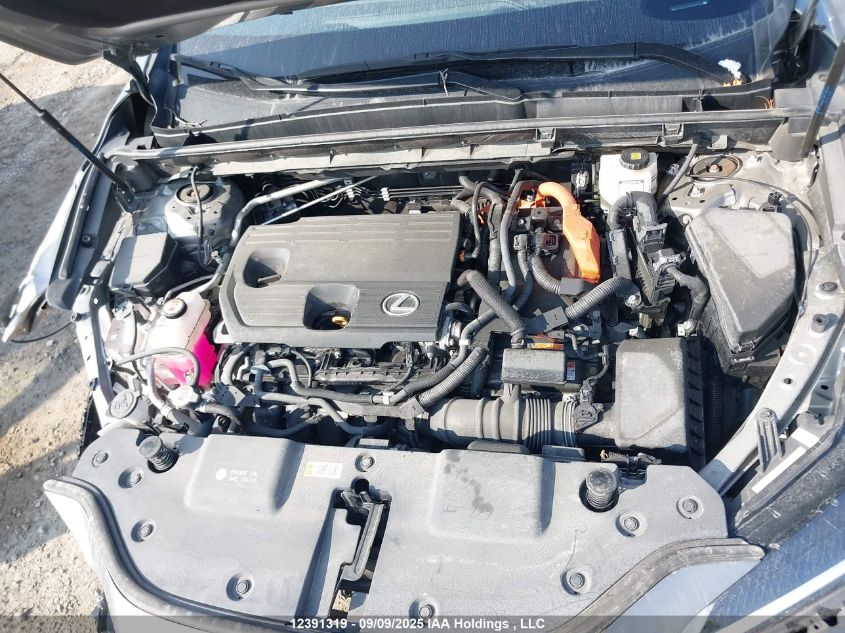 2022 Lexus Nx 350H 350H VIN: 2T2GKCEZXNC001246 Lot: 12391319