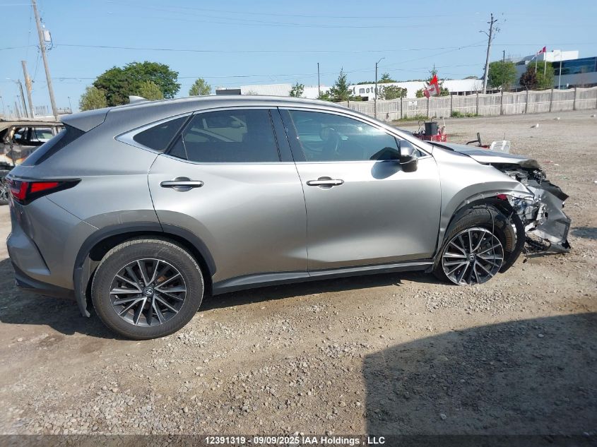 2022 Lexus Nx 350H 350H VIN: 2T2GKCEZXNC001246 Lot: 12391319