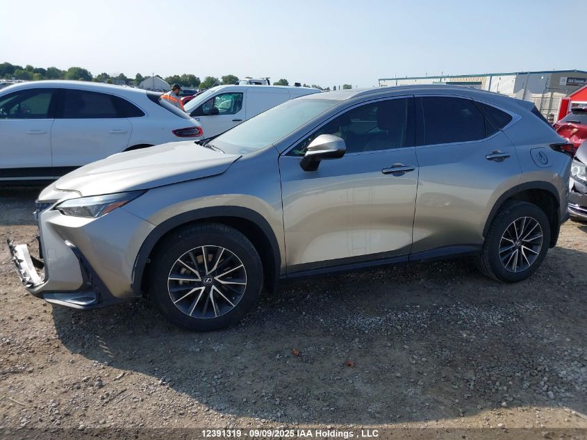 2022 Lexus Nx 350H 350H VIN: 2T2GKCEZXNC001246 Lot: 12391319