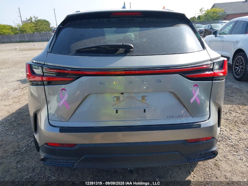 2022 Lexus Nx 350H 350H VIN: 2T2GKCEZXNC001246 Lot: 12391319