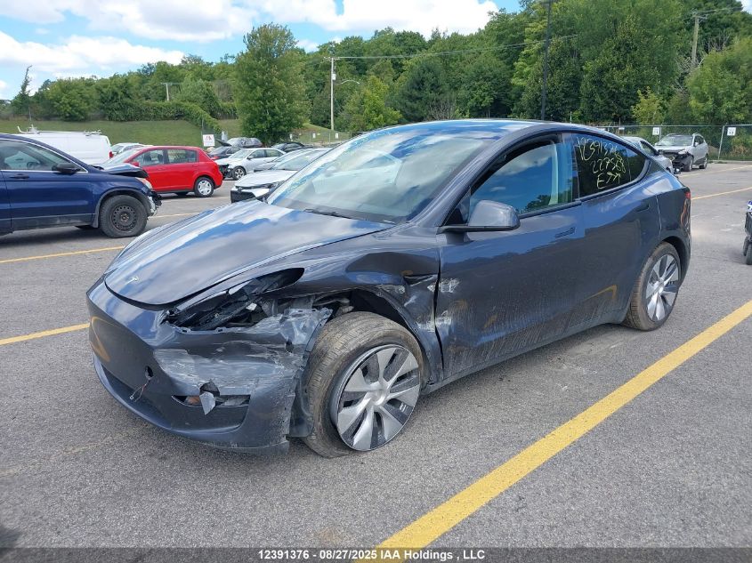 2023 Tesla Model Y VIN: LRWYGDFD6PC227568 Lot: 12391376