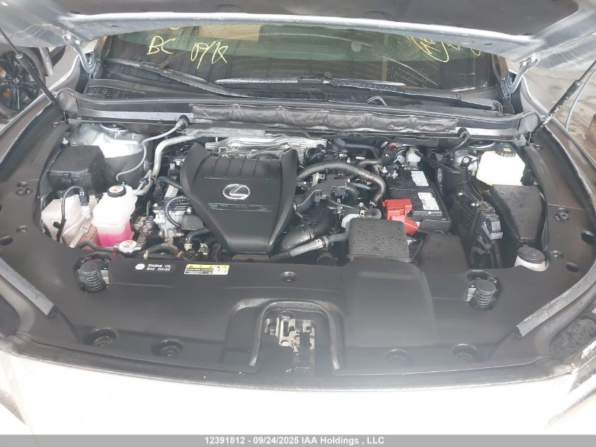 2024 Lexus Rx 350 VIN: 2T2BAMCAXRC050632 Lot: 12391812