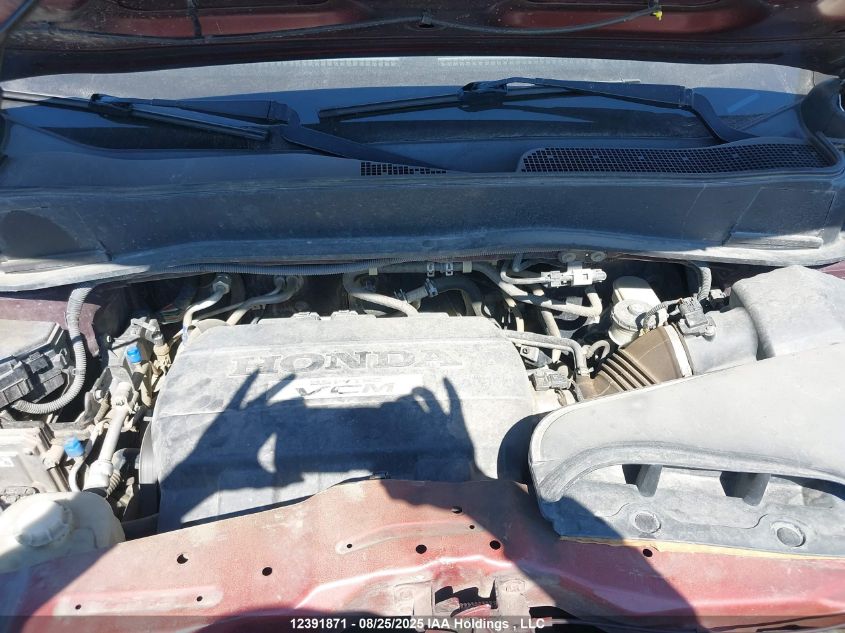 2009 Honda Pilot VIN: 5FNYF48579B500986 Lot: 12391871