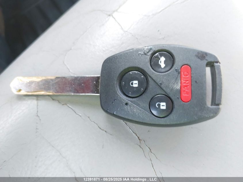 2009 Honda Pilot VIN: 5FNYF48579B500986 Lot: 12391871