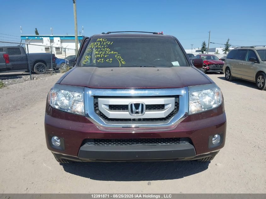 2009 Honda Pilot VIN: 5FNYF48579B500986 Lot: 12391871