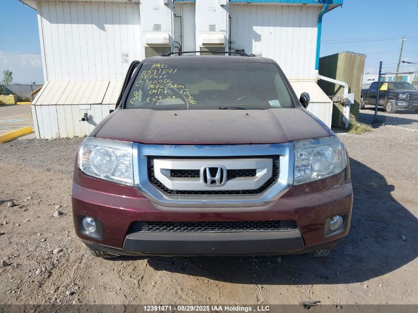 2009 Honda Pilot VIN: 5FNYF48579B500986 Lot: 12391871