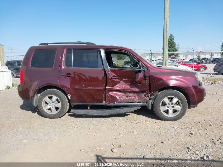 2009 Honda Pilot VIN: 5FNYF48579B500986 Lot: 12391871
