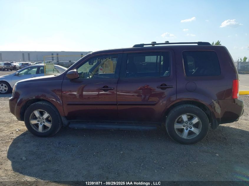 2009 Honda Pilot VIN: 5FNYF48579B500986 Lot: 12391871