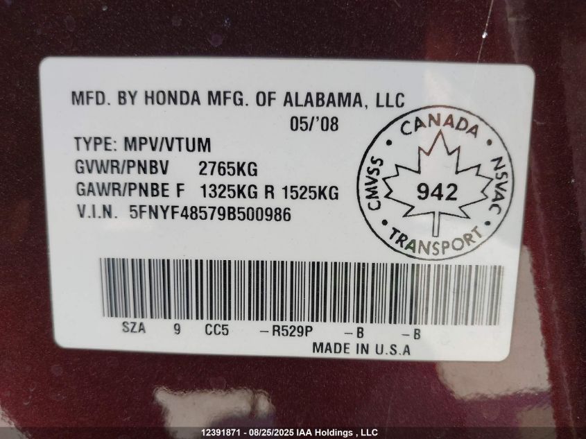 2009 Honda Pilot VIN: 5FNYF48579B500986 Lot: 12391871