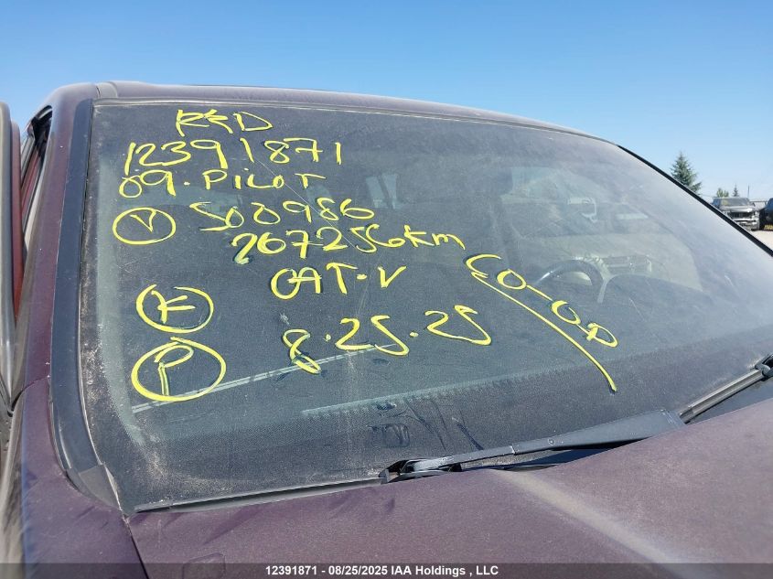 2009 Honda Pilot VIN: 5FNYF48579B500986 Lot: 12391871