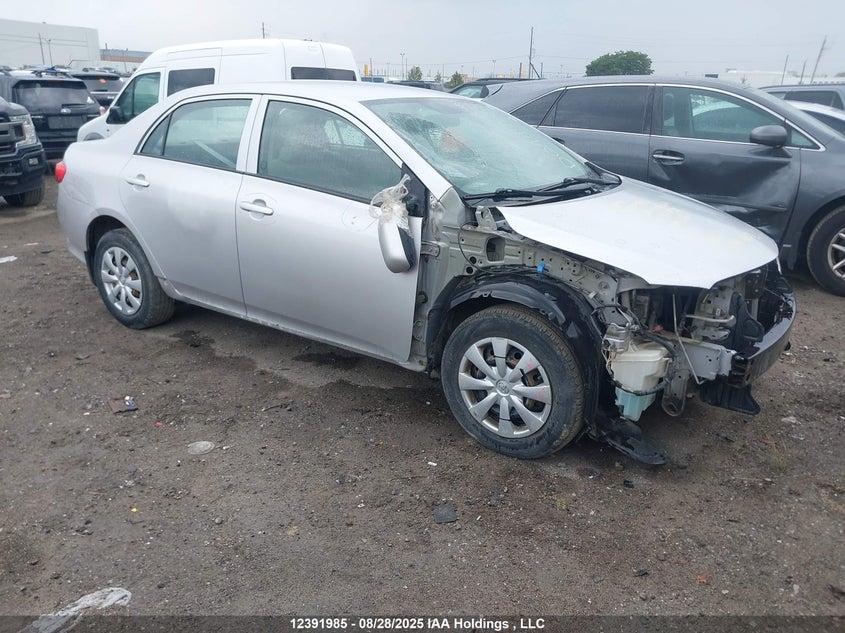 2T1BU4EE6AC312758 2010 Toyota Corolla auction photo 1