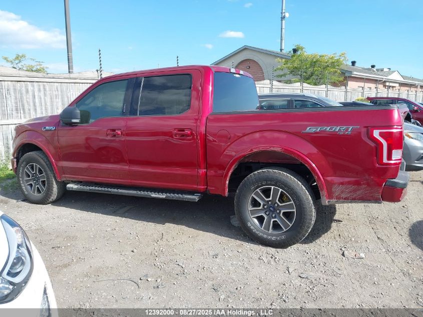 2017 Ford F-150 VIN: 1FTEW1EP5HFB70637 Lot: 12392000