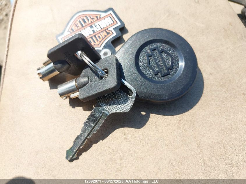 2013 Harley-Davidson Flstn Softail Deluxe VIN: 5HD1JDVA0DB031504 Lot: 12392071