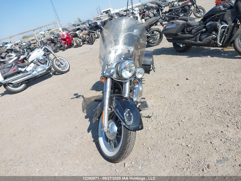 5HD1JDVA0DB031504 2013 HARLEY-DAVIDSON SOFTAIL photo no. 5