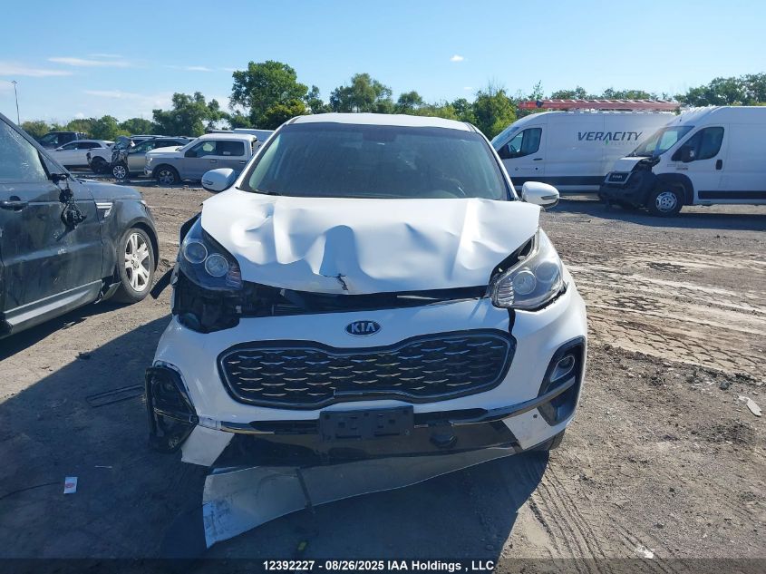2021 Kia Sportage Lx VIN: KNDPMCAC1M7921699 Lot: 12392227