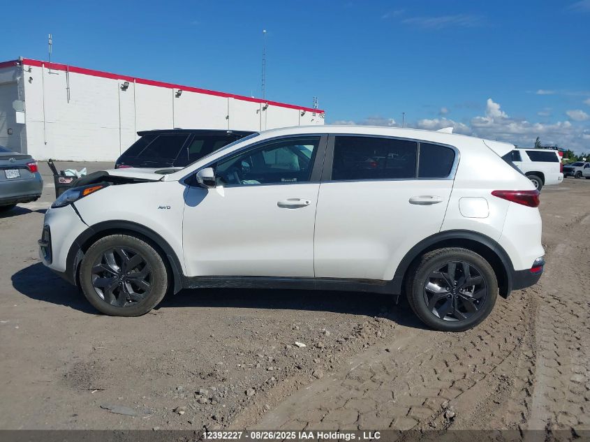 2021 Kia Sportage Lx VIN: KNDPMCAC1M7921699 Lot: 12392227